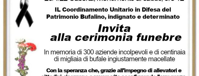 Coordinamento difesa del patrimonio bufalino, domani in piazza a Caserta