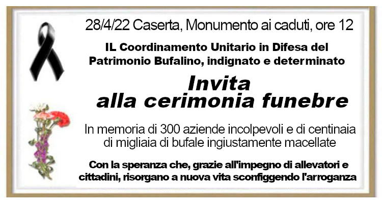 Coordinamento difesa del patrimonio bufalino, domani in piazza a Caserta