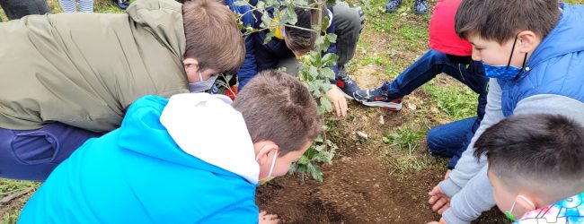 “Diamo Ossigeno al Futuro”, doppio appuntamento nel Sannio