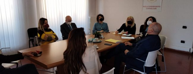 Commissione cultura, Santamaria in audizione