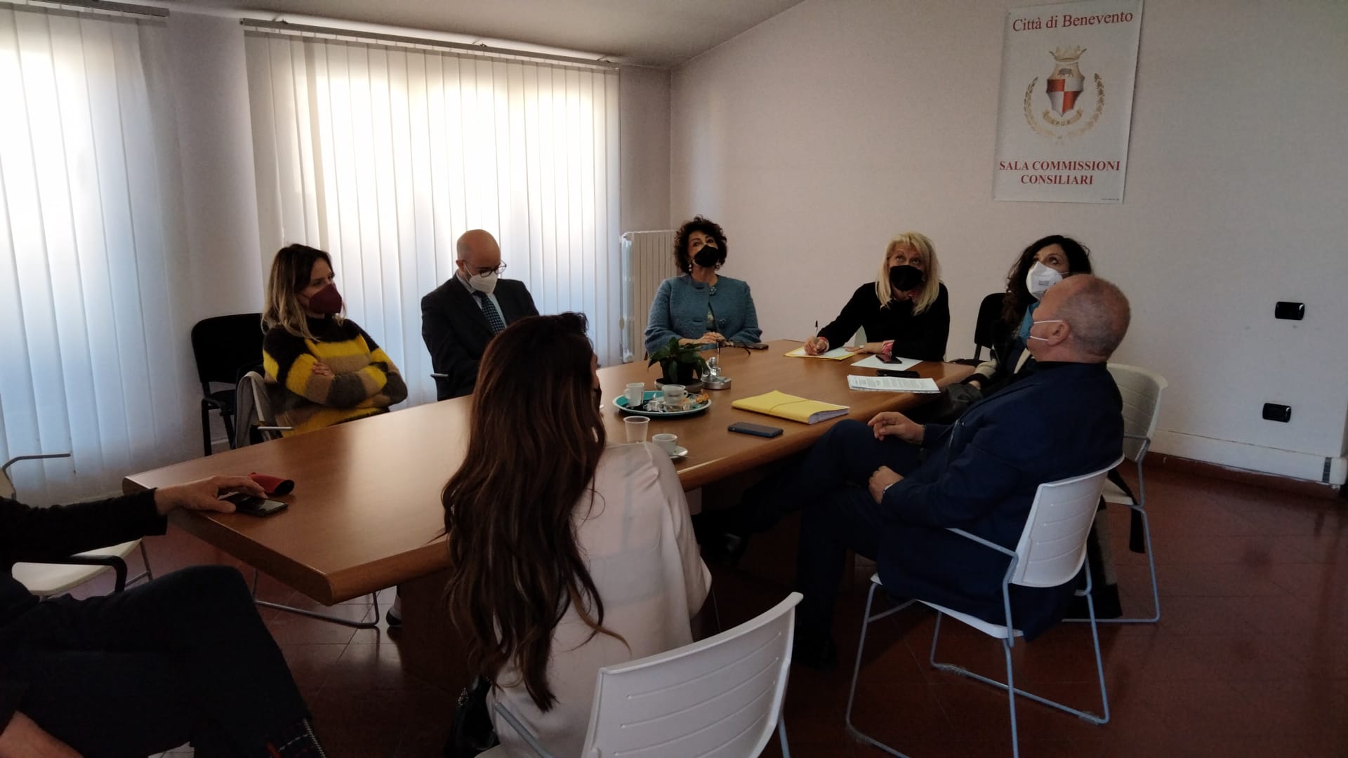 Commissione cultura, Santamaria in audizione