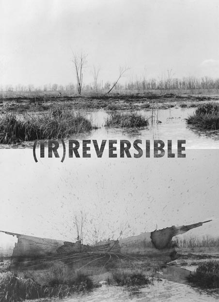 (IR)REVERSIBILE, la mostra di Jernej Forbici
