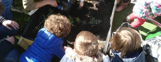 Nasce nel Golfo di Gaeta il primo Orto didattico diffuso