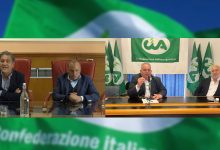 Camera di Commercio Irpinia – Sannio, l’appello della Cia: stop alla fine del commissariamento
