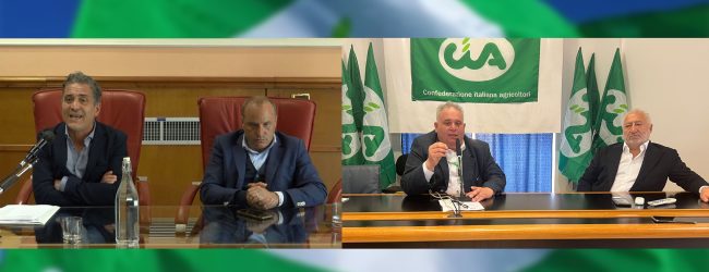 Camera di Commercio Irpinia – Sannio, l’appello della Cia: stop alla fine del commissariamento