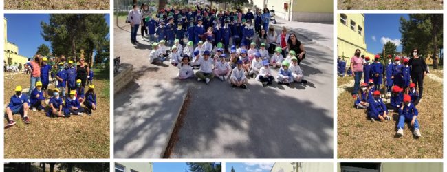 “Il mio frutteto: lo pianto, lo curo, lo mangio”: il progetto della scuola Sant’Angelo a Sasso