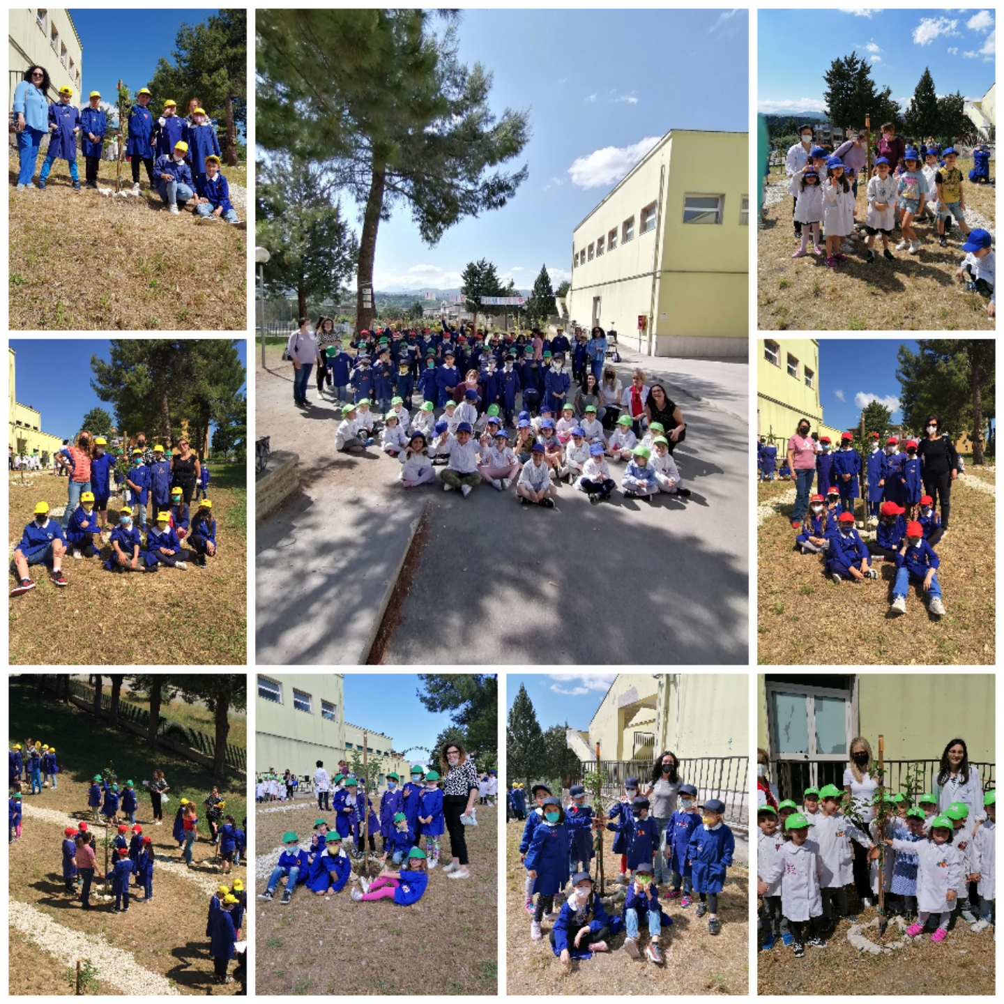 “Il mio frutteto: lo pianto, lo curo, lo mangio”: il progetto della scuola Sant’Angelo a Sasso