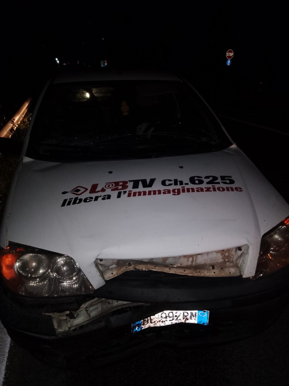 Benevento| Auto si scontra con un cinghiale, illeso il conducente