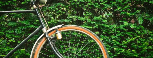 Domenica torna “Bicincittà”, nel Sannio doppio appuntamento