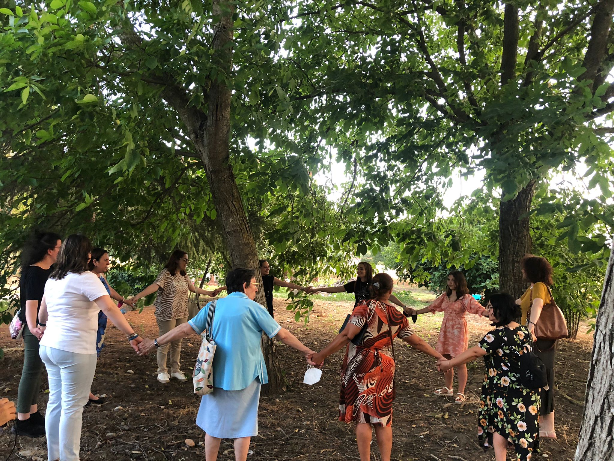 Itinerario di San Giovanni: Janua firma un nuovo grande successo attraverso la storia e kit magici