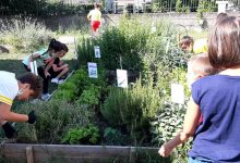 ‘Ortoamico’, il plesso ‘Pietà’ del Convitto di Benevento ‘in campo’ per l’educazione alimentare