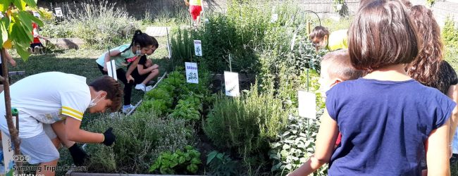 ‘Ortoamico’, il plesso ‘Pietà’ del Convitto di Benevento ‘in campo’ per l’educazione alimentare