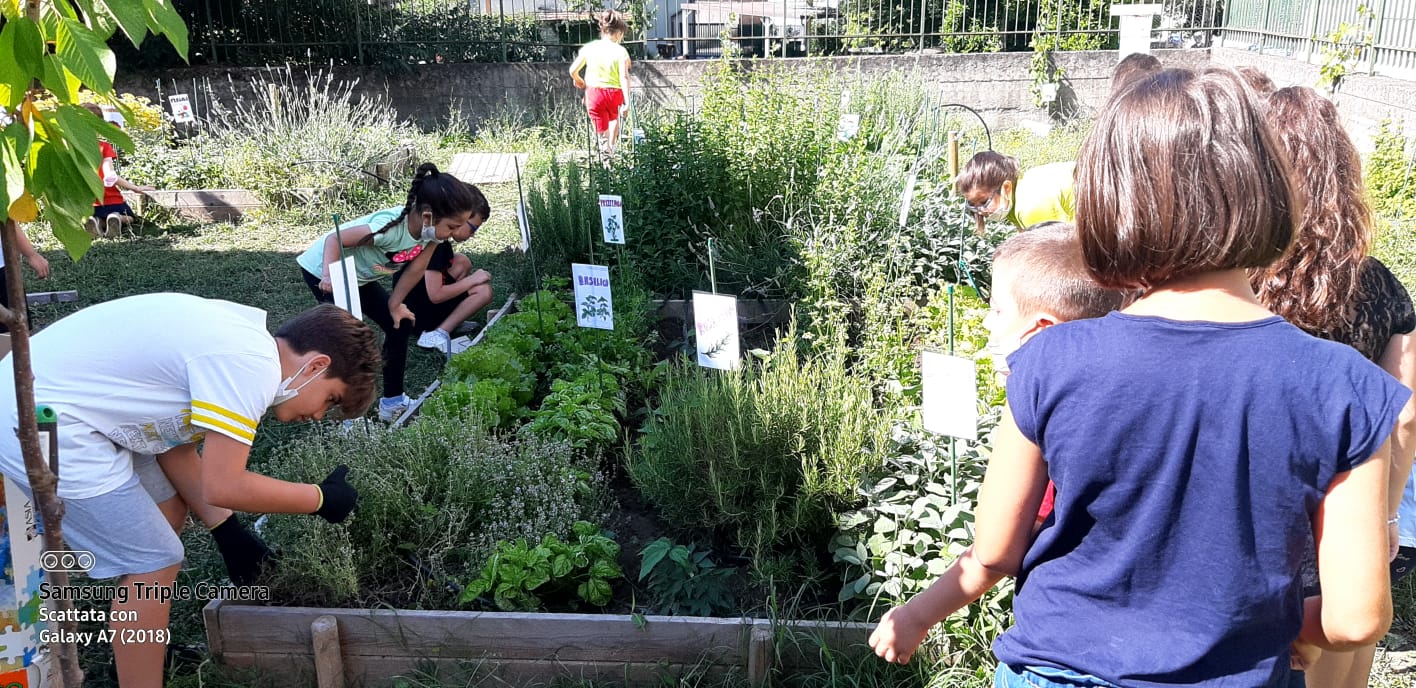 ‘Ortoamico’, il plesso ‘Pietà’ del Convitto di Benevento ‘in campo’ per l’educazione alimentare