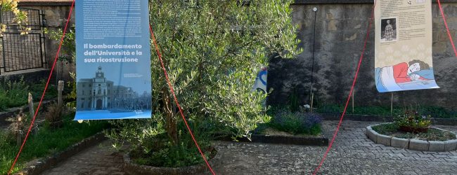 Cerreto Sannita: Azione Cattolica sui passi di Armida Barelli