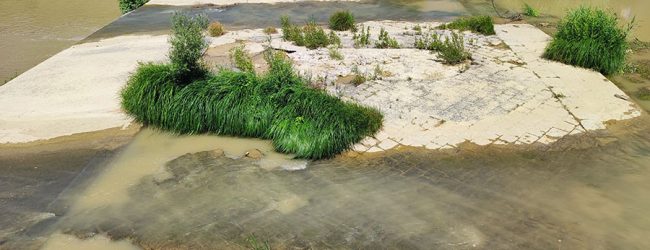 Secca Tammaro, Lombardi chiama in causa Asea