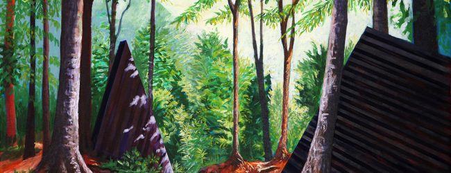 A Vitulano la personale di Torcoli sulla natura