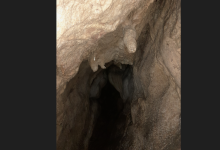 Benvenuta Estate alle oasi WWF