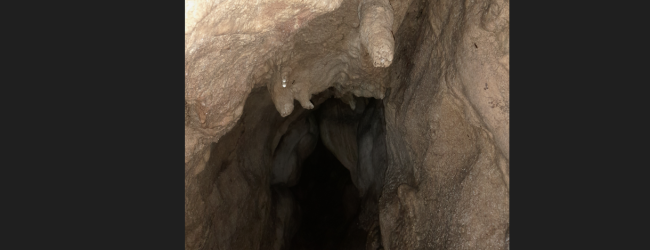 Benvenuta Estate alle oasi WWF