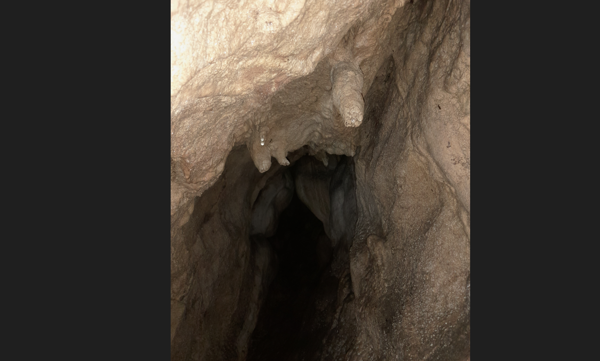 Benvenuta Estate alle oasi WWF