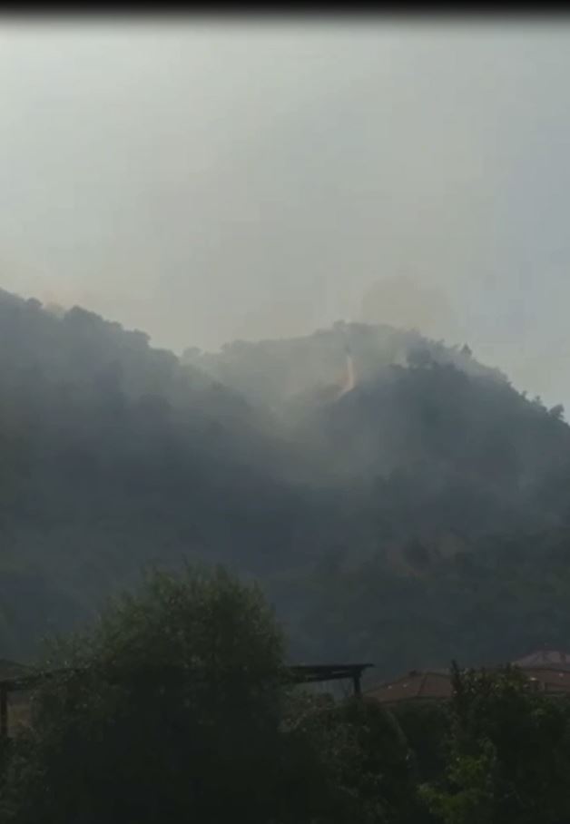 Incendi, oggi 26 richieste di intervento aereo in Italia. Fiamme a Limatola