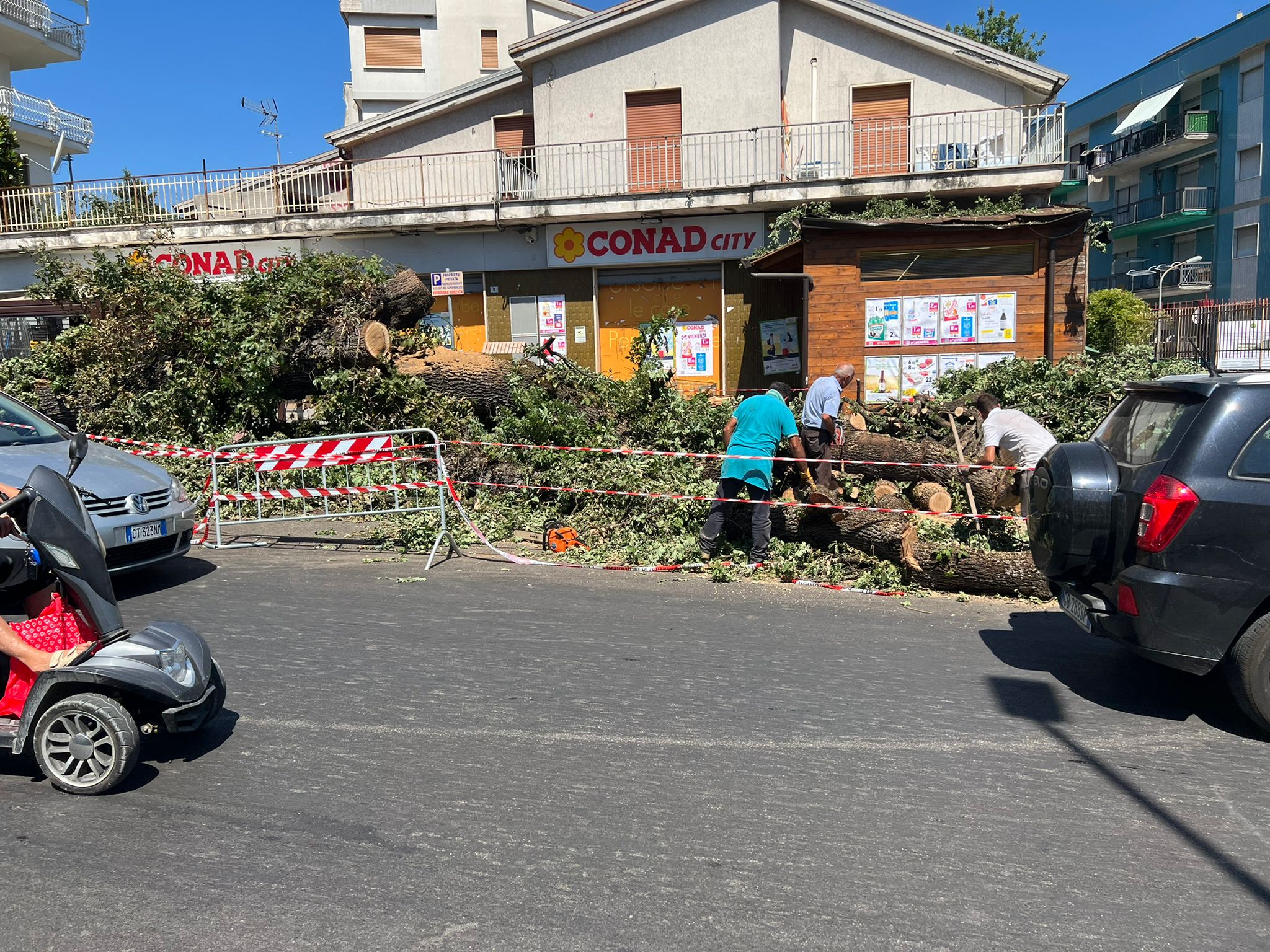 Benevento, caduta quercia secolare: Mastella rilancia il tema sicurezza
