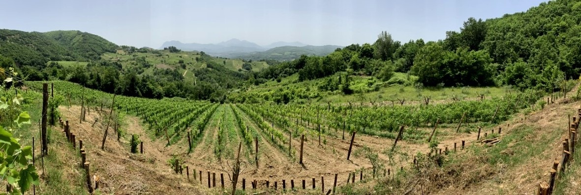 Torrioni| Imprenditori agricoli, il Codacons premia la giovane Margherita Iommazzo
