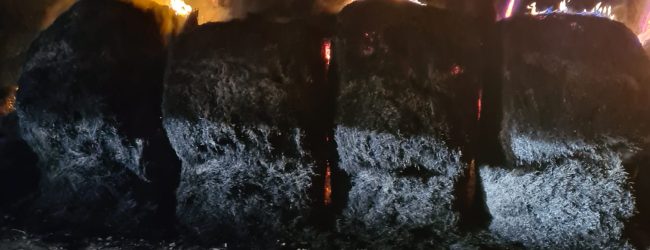 Rotoballe in fiamme nel Sannio, lungo intervento dei Vigili del Fuoco