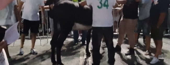 Altavilla Irpina| L’Irpinia ritrova il Palio dell’Anguria. Il sindaco Vanni: “La Regione ci sostenga”
