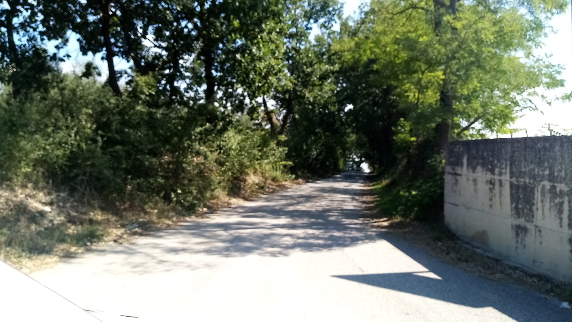 Venticano| Ossa di due corpi in un bidone, indagano i carabinieri