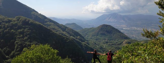 All’Oasi WWF di Pannarano per vivere la magia delle stelle cadenti