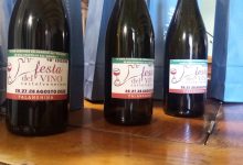 A Castelvenere si celebrano i 40 anni della ‘Festa del Vino’