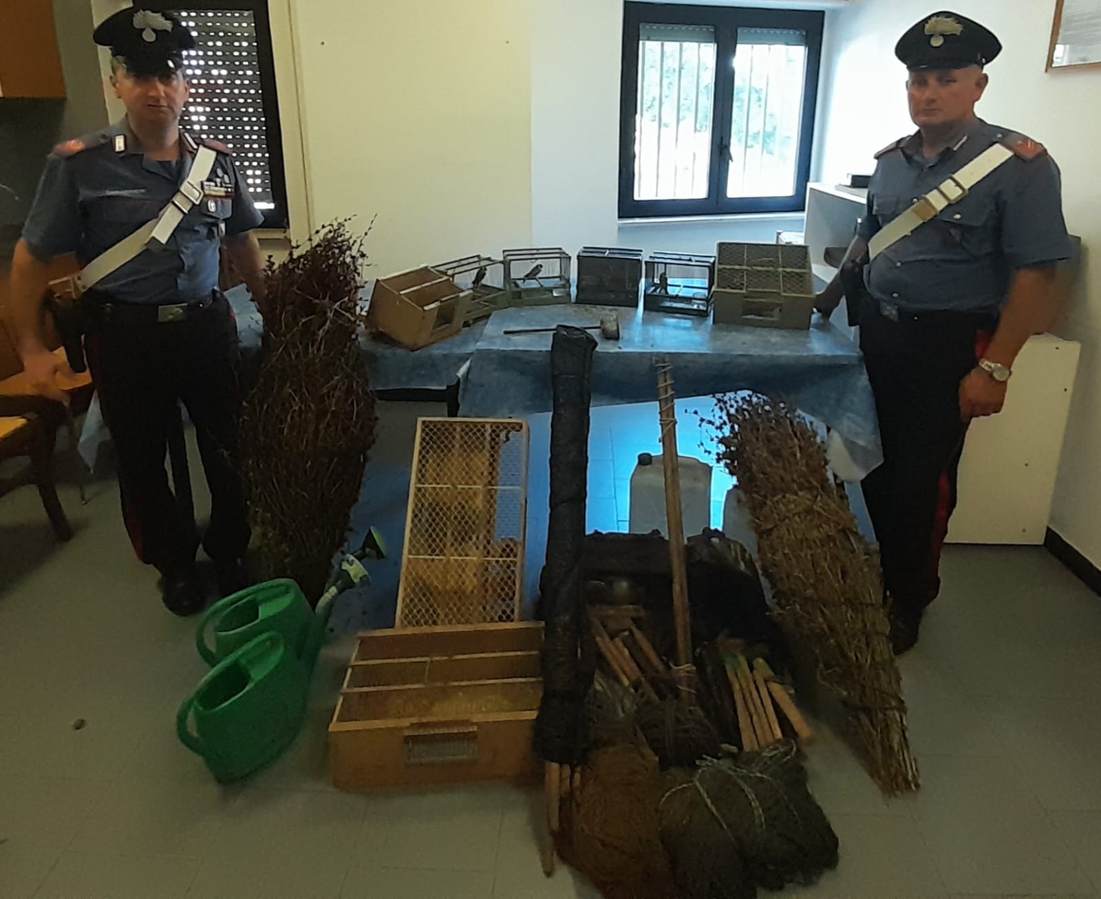 Amorosi, denunciati quattro uomini per maltrattamento di uccelli e inosservanza delle norme per la protezione della fauna selvatica