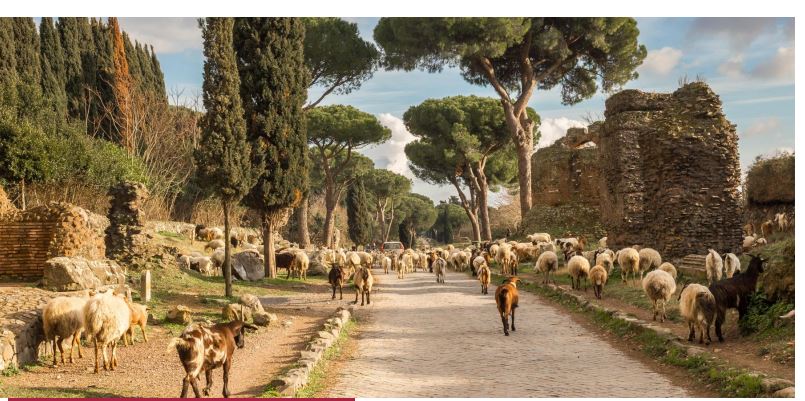 Domani a Palazzo Paolo V la riunione promossa dal MIC su: “Via Appia. Incontri con la comunità per il futuro della Regina Viarum”