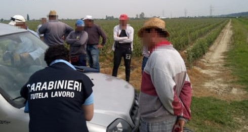 San Bartolomeo in Galdo, sicurezza sul lavoro e contrasto al “capolarato”: denunce e sanzioni