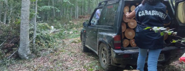 Furto di legna di faggio all’interno del Parco Regionale del Matese, domiciliari per due uomini