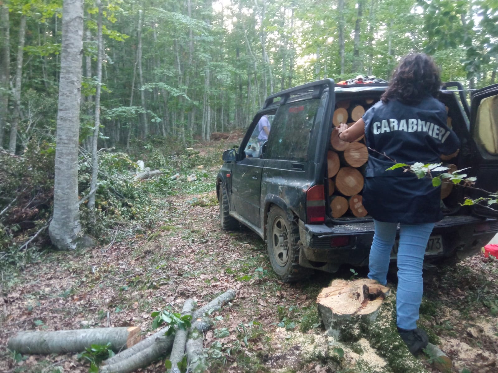Furto di legna di faggio all’interno del Parco Regionale del Matese, domiciliari per due uomini