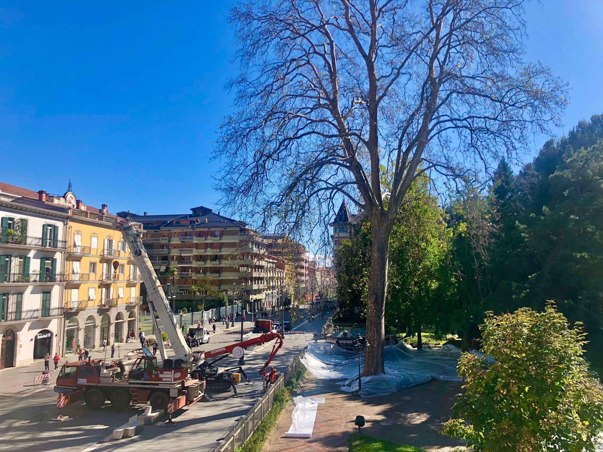 Avellino| Iniziato l’abbattimento del platano monumentale della villa comunale