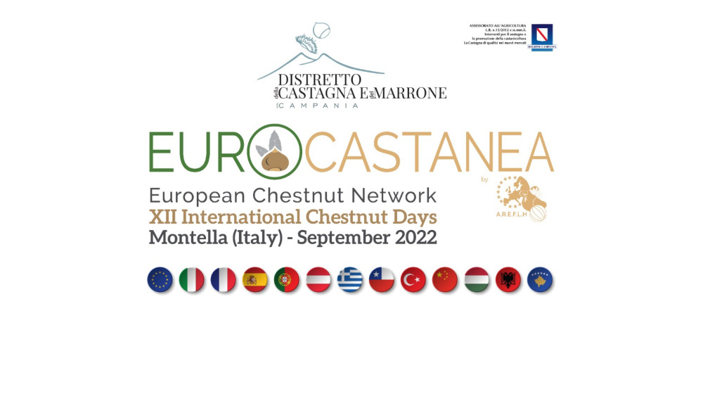 A Montella l’evento internazionale Eurocastanea Italia 2022, dall’Irpinia il focus sul futuro della castagna nel mondo