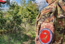 Montemiletto| Sequestrata piantagione di canapa indiana, due arresti