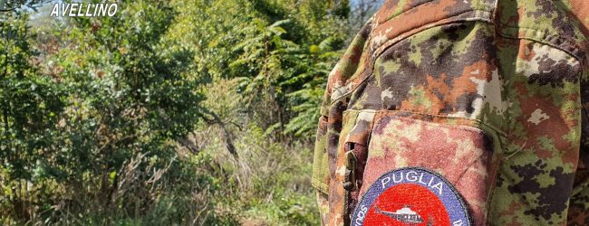 Montemiletto| Sequestrata piantagione di canapa indiana, due arresti