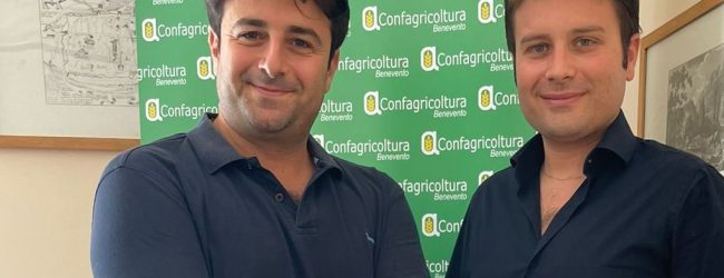 Elezioni, Rubano (FI) incontra i vertici sanniti di Confagricoltura: “Impegno concreto per il settore”