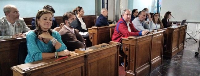 La zampata di Umberto