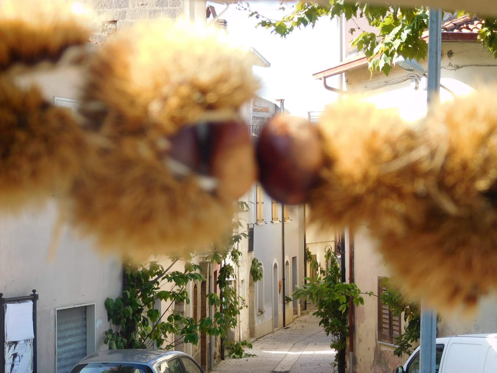 Ad Arpaise sabato 8 e domenica 9 Ottobre ritorna la Sagra della Castagna giunta alla sua 26esima Edizione