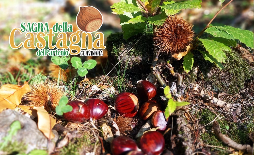 A Cervinara tutto pronto per la Sagra della Castagna