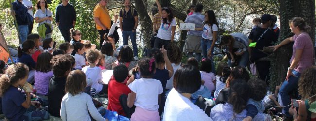 La naturalità dei fiumi beneventani al centro dell’Eurobirdwatch della Lipu