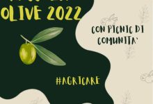 Agricoltura Sociale, ritorna la raccolta di comunità delle olive nel giardino dell’Episcopio di Cerreto Sannita