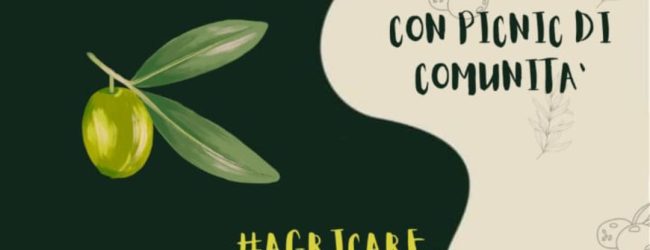 Agricoltura Sociale, ritorna la raccolta di comunità delle olive nel giardino dell’Episcopio di Cerreto Sannita