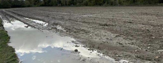 Coldiretti Avellino lancia l’sos: “Il maltempo ha ‘strappato’ semi dal terreno”