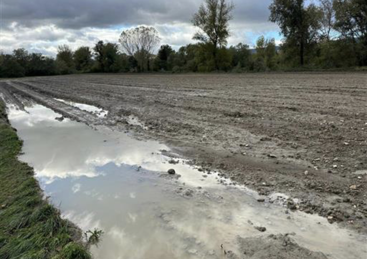 Coldiretti Avellino lancia l’sos: “Il maltempo ha ‘strappato’ semi dal terreno”