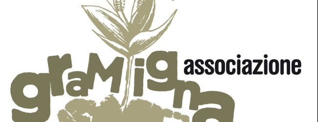 Al via la prima edizione della raccolta fondi “Sapori del Sannio”: si cercano volontari per il periodo natalizio